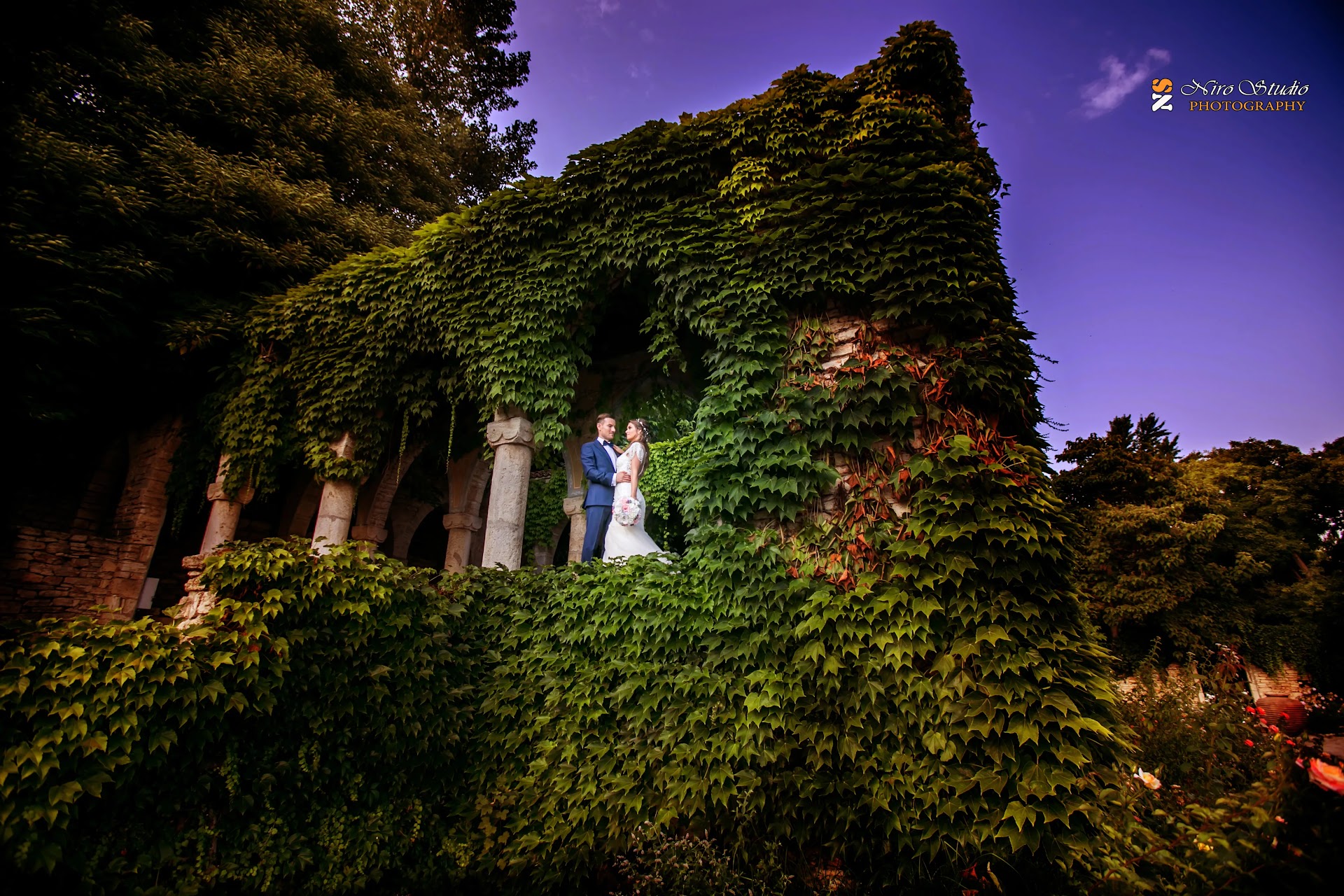 Fotografie profesională de nuntă, botez sau eveniment special - Niro Wedding 57